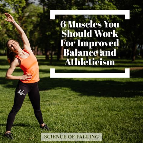 it is the key to balance and movement.|6 Muscles You Should Work for Improved Balance and Athleticism.